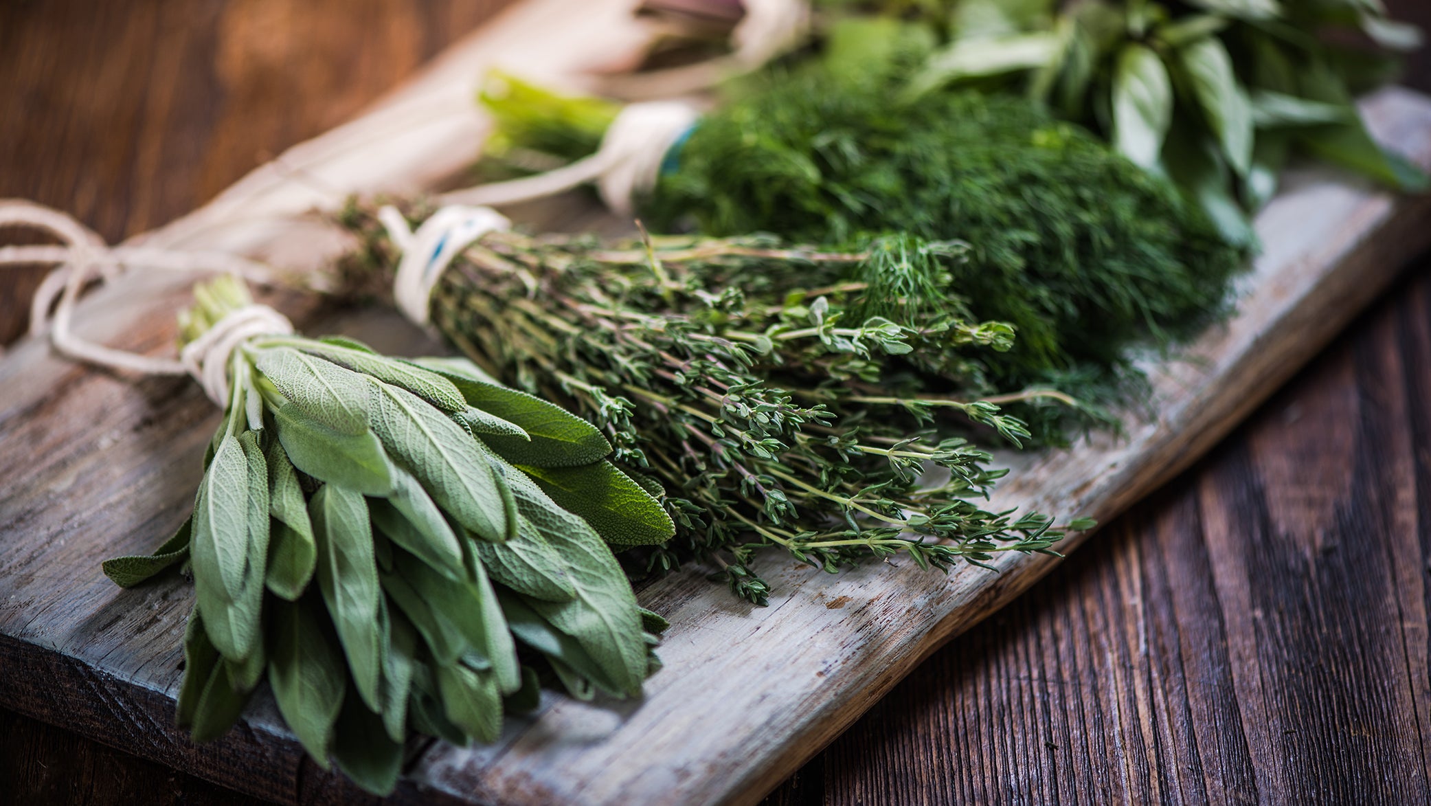 Fresh vs. Dried Herb