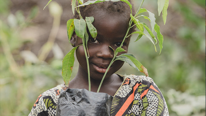 child holding tree 