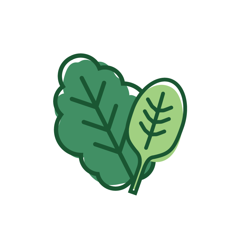 leafy greens illustrated icon