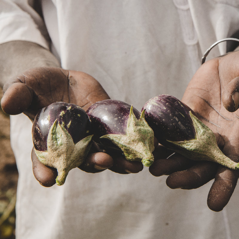 man holding fruit. agroforestry senegal